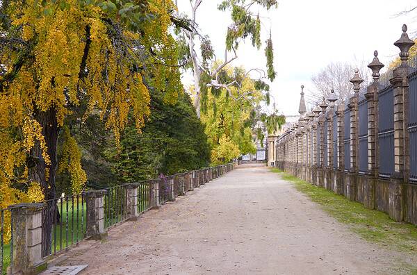 Caminho no Jardim Botânico da Universidade de Coimbra, com árvores de outono